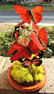 Real Butterfly Terrarium in Glass Dome real butterfly, butterflies, glass dome, butterfly art, butterflies art, butterfly collection, butterfly gifts, acrylic tube, moss, moth crystals, Terrarium