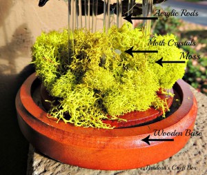 Real butterfly Terrarium in Glass Dome real butterfly, butterflies, glass dome, butterfly art, butterflies art, butterfly collection, butterfly gifts, acrylic tube, moss, moth crystals